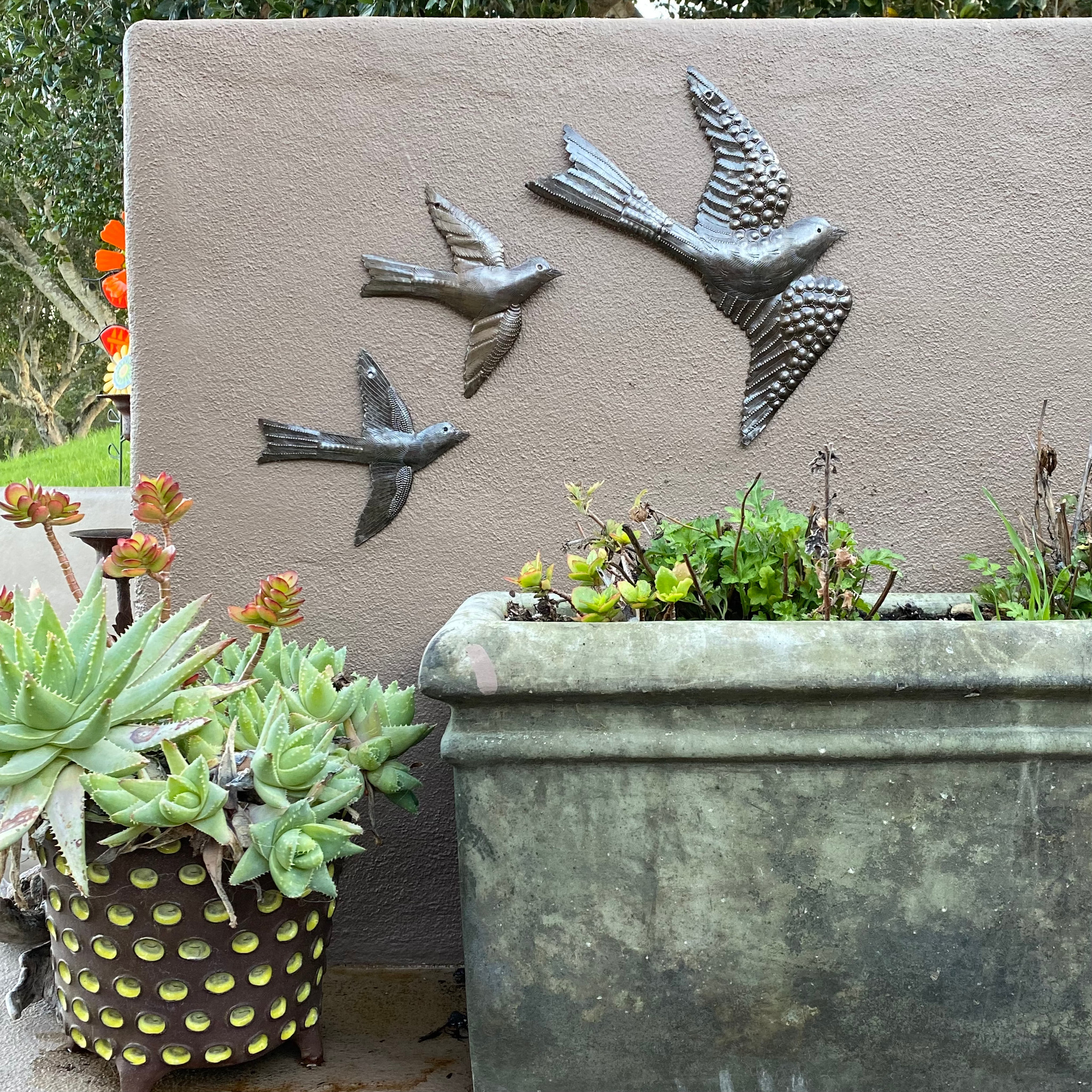 Birds in the Garden